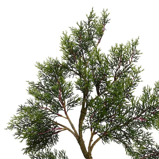 5ft. Potted Cedar Tree